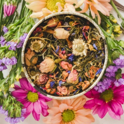 Herbal Consultation