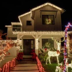 Smart Lights and Shades