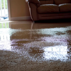 Home Maintenance & Repair