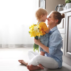 Cozy club Maintenance Plans