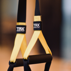 TRX Circuit