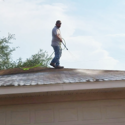Roof Cleaning