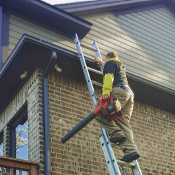 Gutter Cleaning