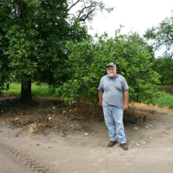 Plant and Fruit Tissue Analysis