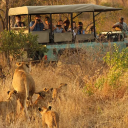 Group Trips
