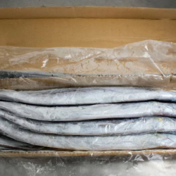 Ribbonfish
