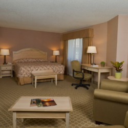 Rooms & Reservations