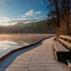 Free Home Evaluation