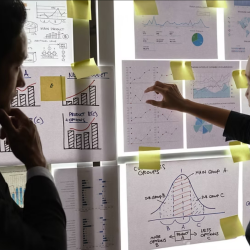 Organizational Design & Incentive Alignment