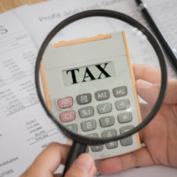 Business Taxes