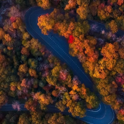 Motivational Interviewing/Coaching