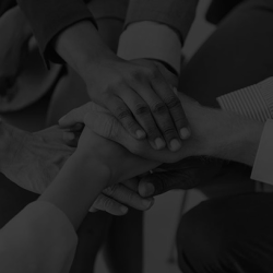 License A My Home Group Office