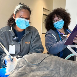 Advanced Dentistry