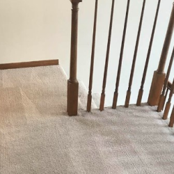 Free Carpet Cleaning Estimate