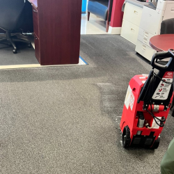 Carpet Cleaning Service