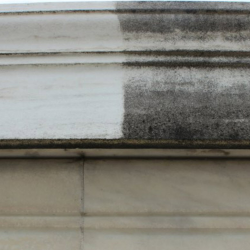 Biofilm Removal