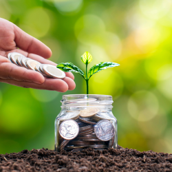 Investment Services