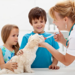 Vaccinations