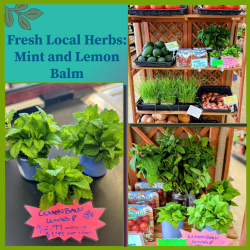 Bulk Foods and Herbs