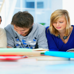 Curriculum