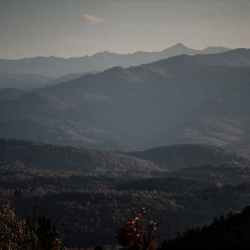 Home Group Bible Studies