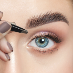 Brows & Lashes