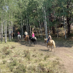 Horseback Riding