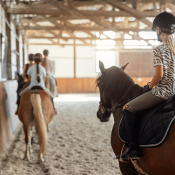 Equine Assisted Learning (EAL)