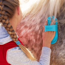 Summer Programs & Clinics