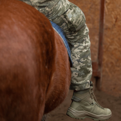 Veterans Programs V.E.T.S