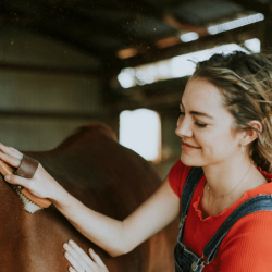 Volunteer Programs