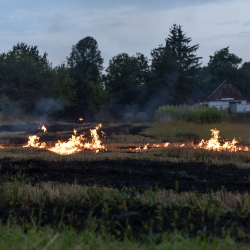 Wildfire Mitigation