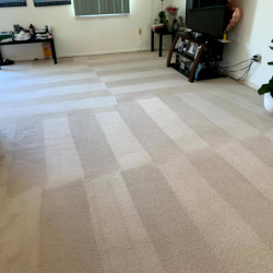 Carpet Care