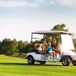 Motorized Carts Allowed