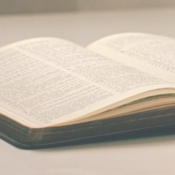 Bible Study