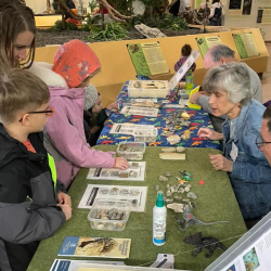 Events For The Whole Family