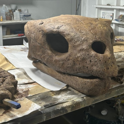 Live Views Of A Working Paleontology Lab