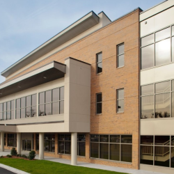 Savannah’s Network