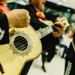 Education, Mercados and Festivals