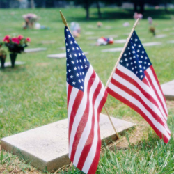 Grief and Loss
