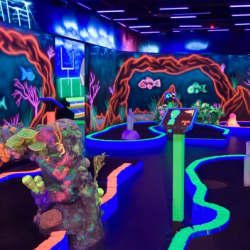 Indoor Mini-Golf
