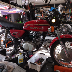 Oil Brands & Pricing