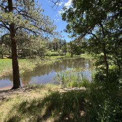 Woodmoor Public Safety