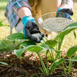 7-Step Deluxe Fertilization Program