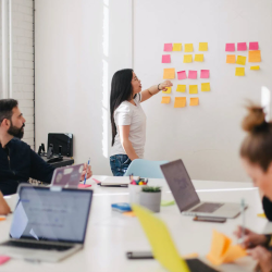 Program Management