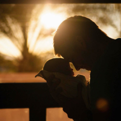 Life Insurance