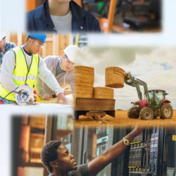 Workforce Development Skill UP
