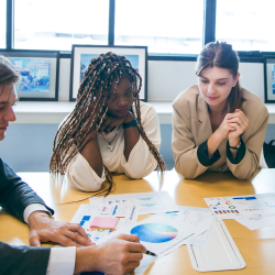 Business Development