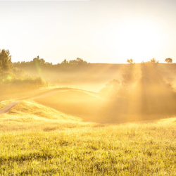 Raw Land Loans