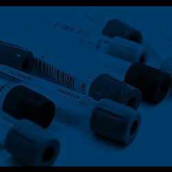 Lab Testing Services